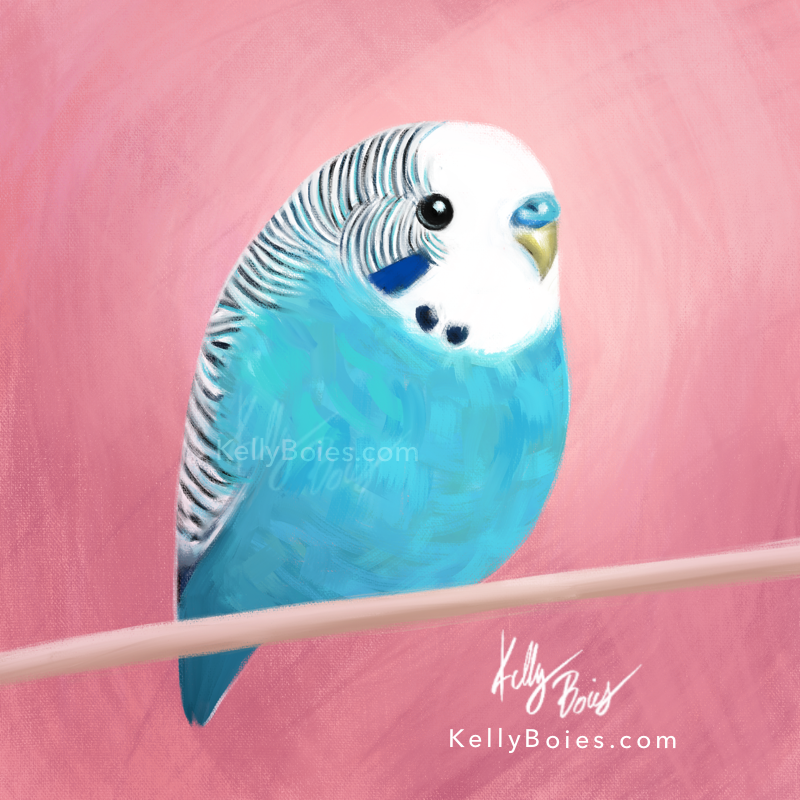 digital painting of a stylized blue budgie parakeet perched on a bar with a soft pink background