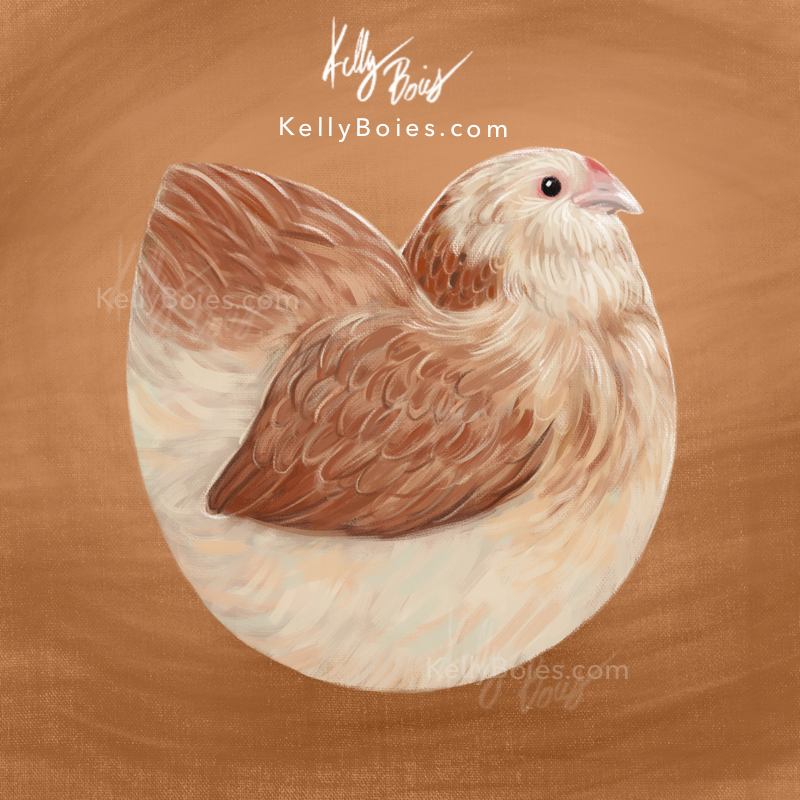 digital painting of a stylized round hen on a brown background