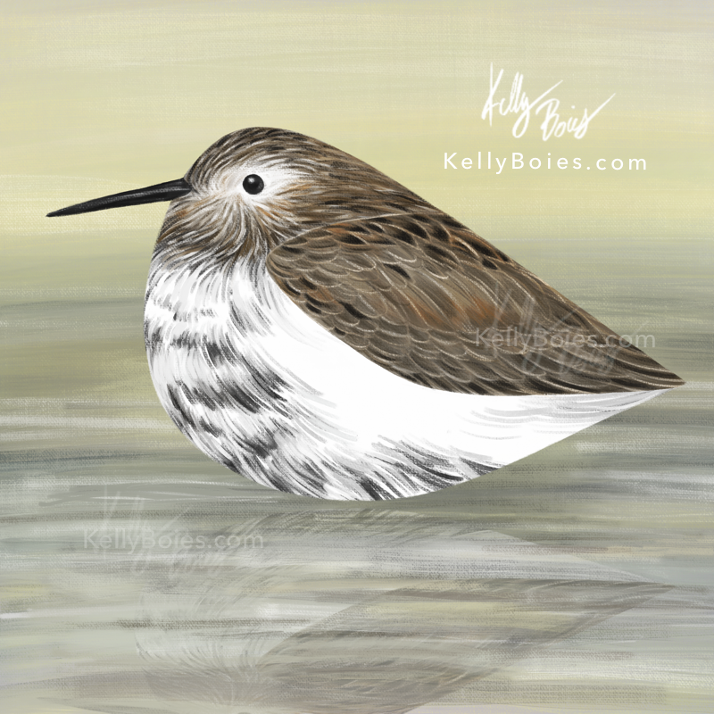 digital painting of a stylized sandpiper on a sandy background, with its reflection visible beneath it on the wet sand.