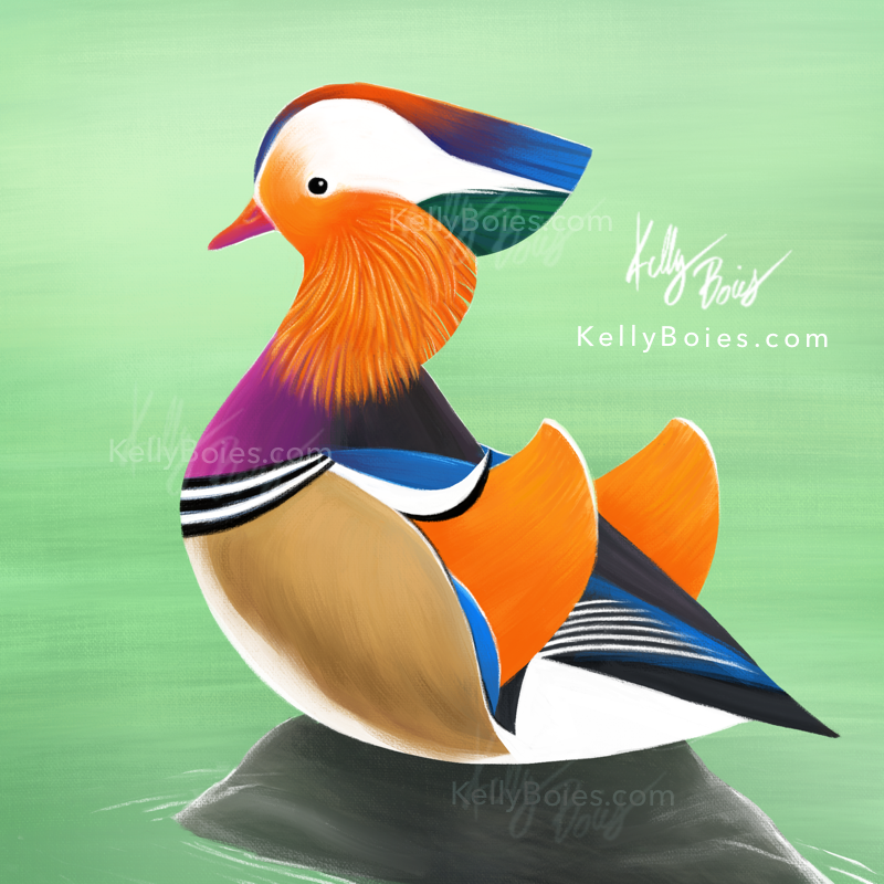 digital painting of a stylized mandarin duck on a rock with a pale green background